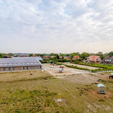 Holiday home Alte Schule 6 *