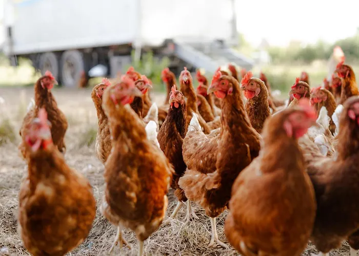 Alte Schule 6 Casa vacanze Staberdorf