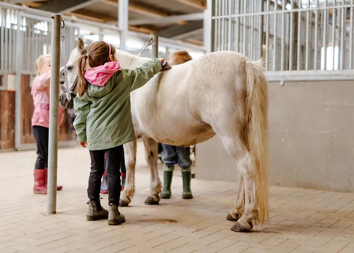 Casa vacanze Alte Schule 6