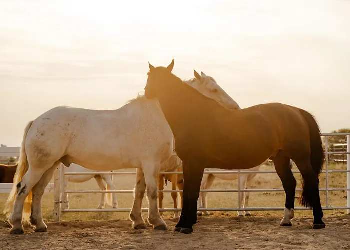 Casa vacanze Alte Schule 6 *