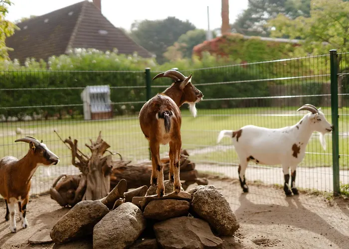 Alte Schule 6 Staberdorf