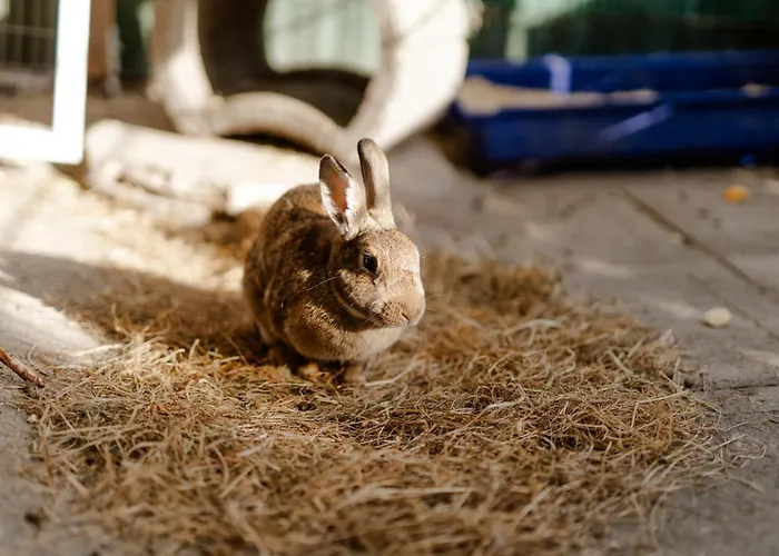 Alte Schule 6 Staberdorf